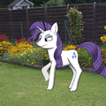 Rarity in my garden