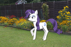 My Little Pony