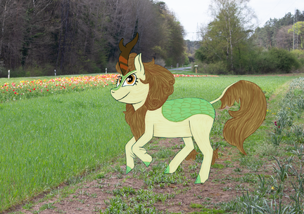 Autumn Blaze