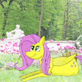 Fluttershy