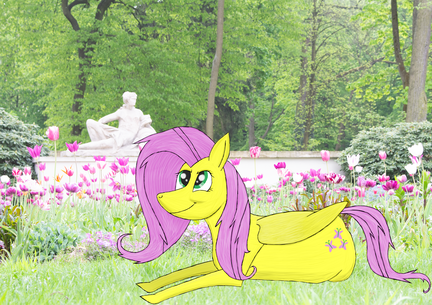 Fluttershy